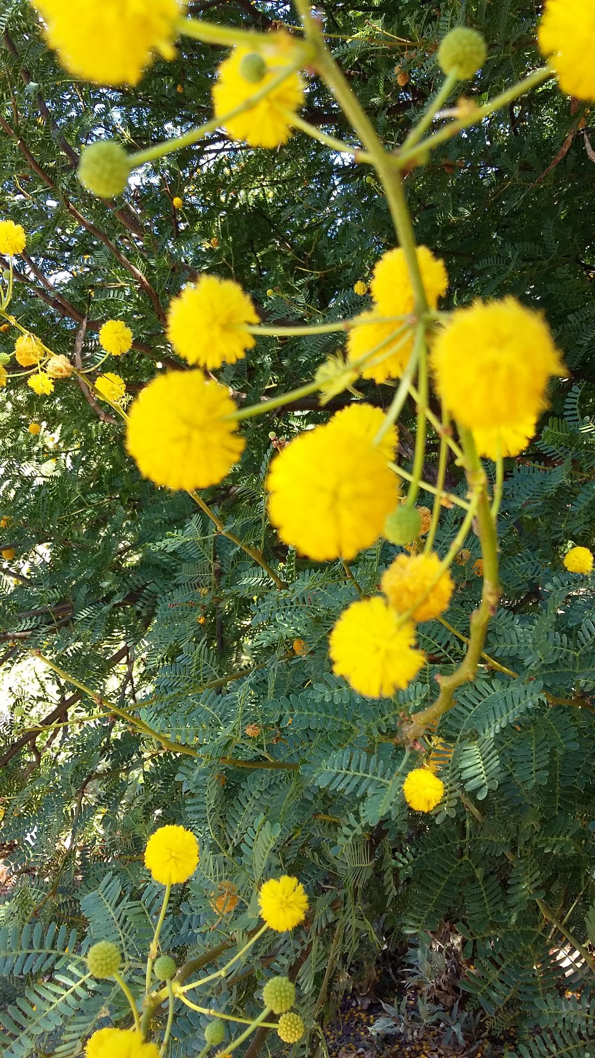 20170704_124823